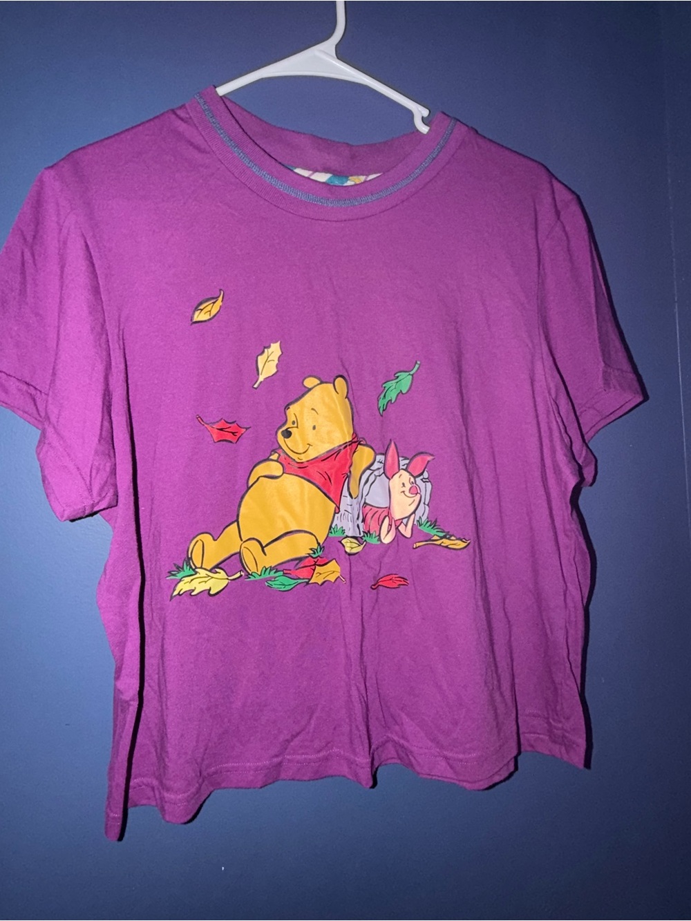 Disney Winnie the Pooh and Piglet purple tee shirt size xl vintage